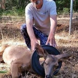 Meet your Posher, Tom